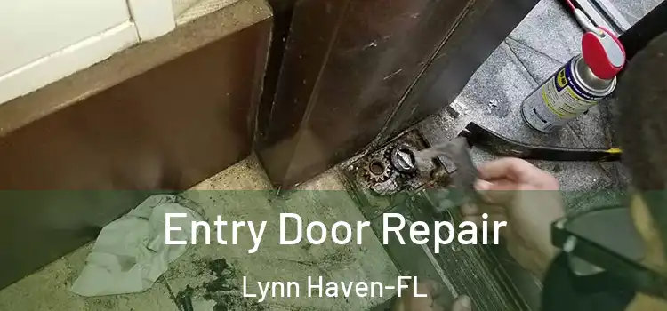 Entry Door Repair Lynn Haven-FL